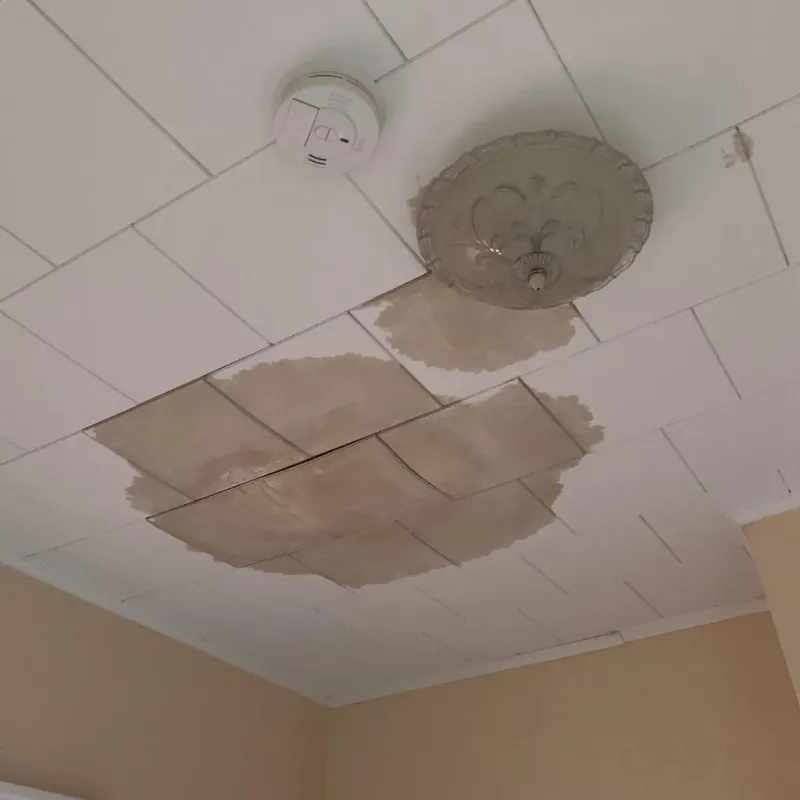 Ceiling Water Damage Repair in Ballwin, MO