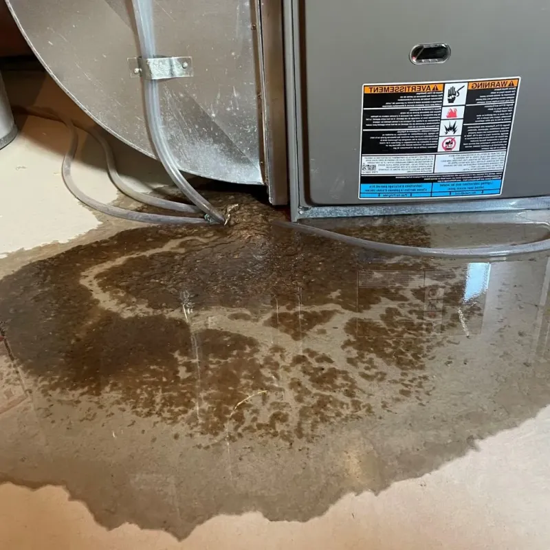Pipe Burst and Leak Restoration in Ballwin, MO